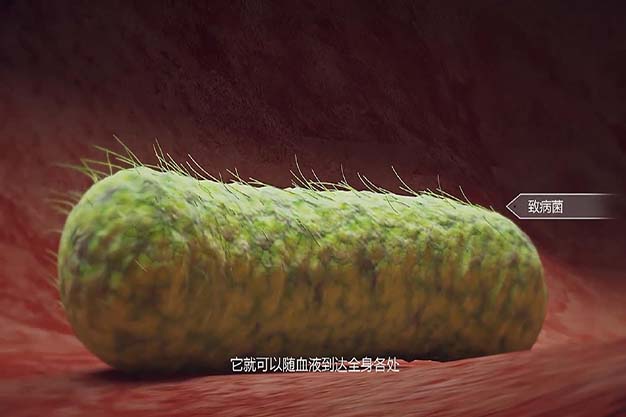 医学3D三维动画巨噬细胞